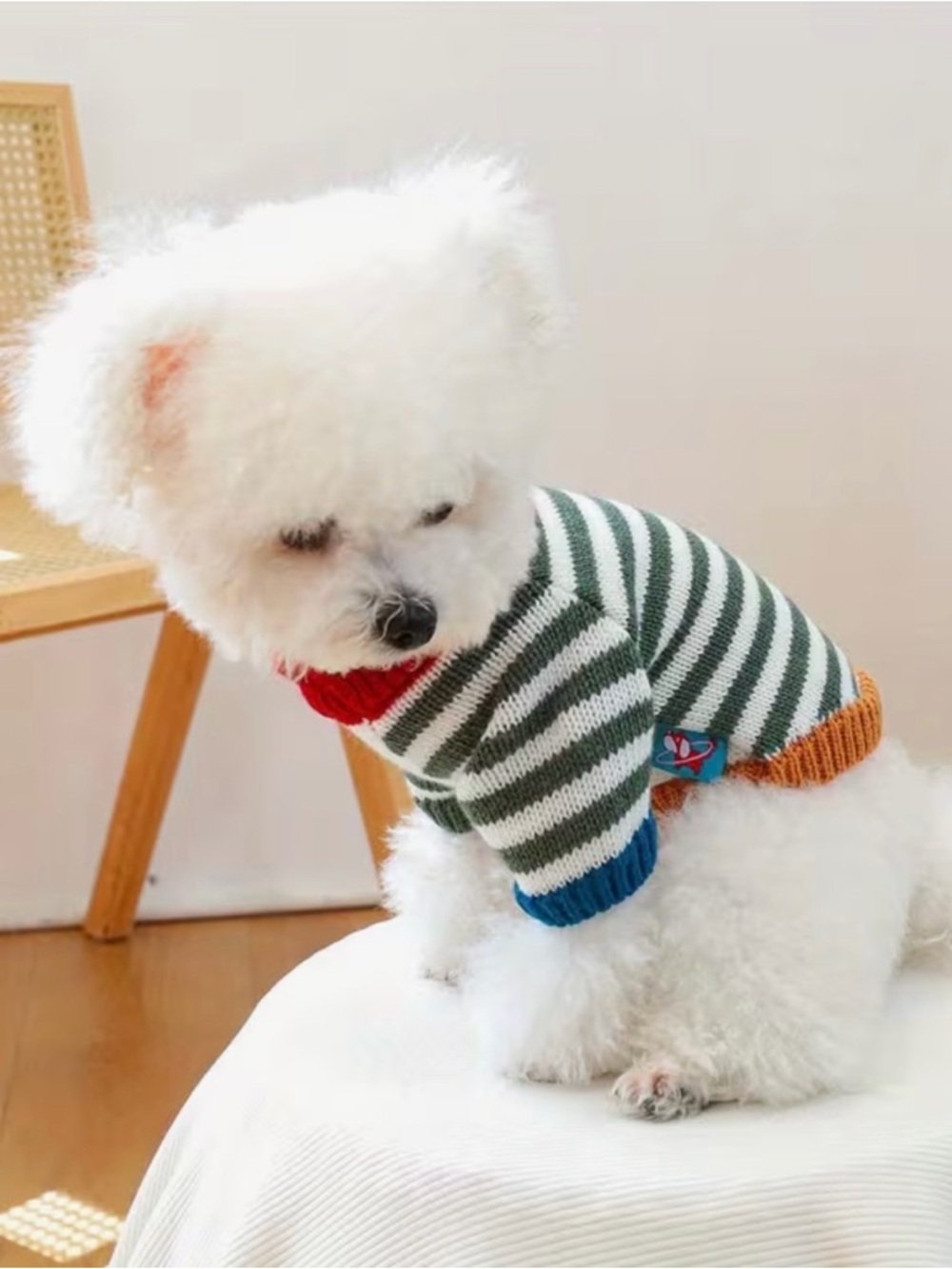 Striped Knit Cat or Dog Pet Sweater with Colorful Trim Sz M - Picture 5 of 9